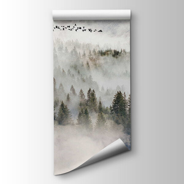 Birds flying over a forest Birds flying over a forest