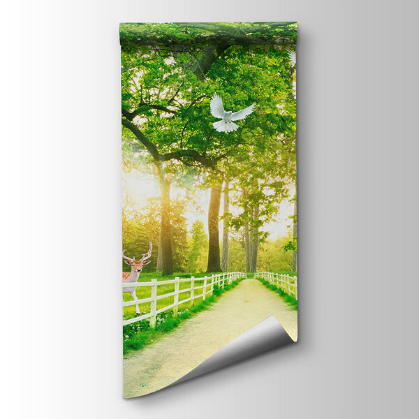 Path with trees and a white fence and deer