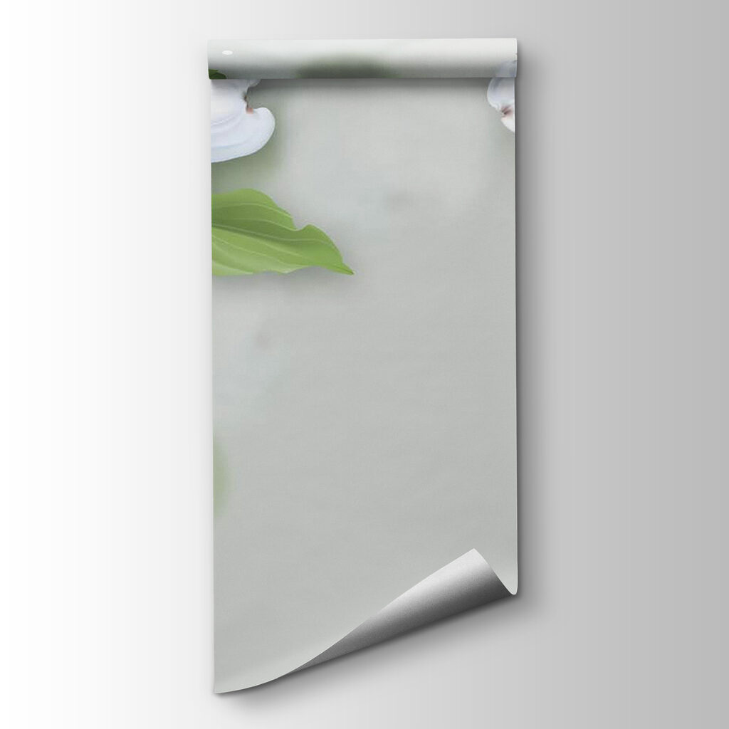 White flowers with green leaves