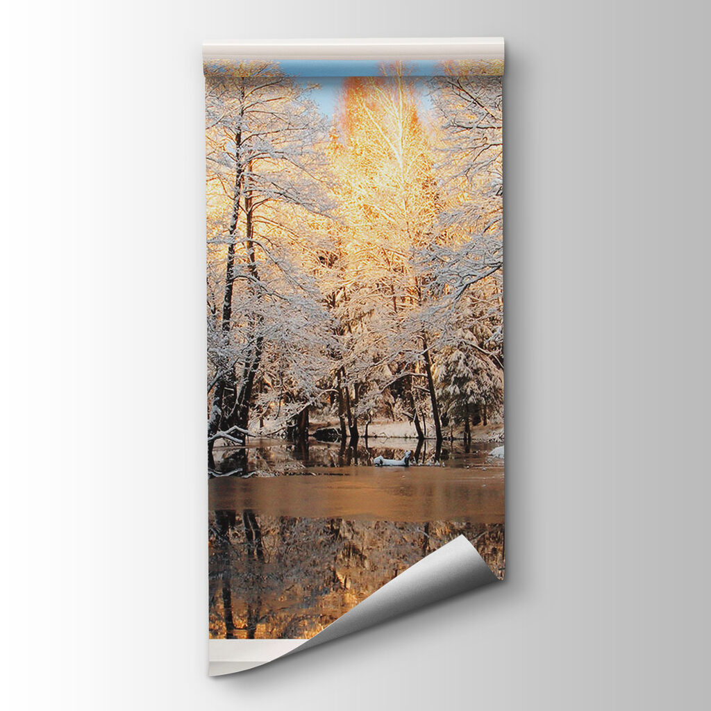 Window with birds looking out of a lake