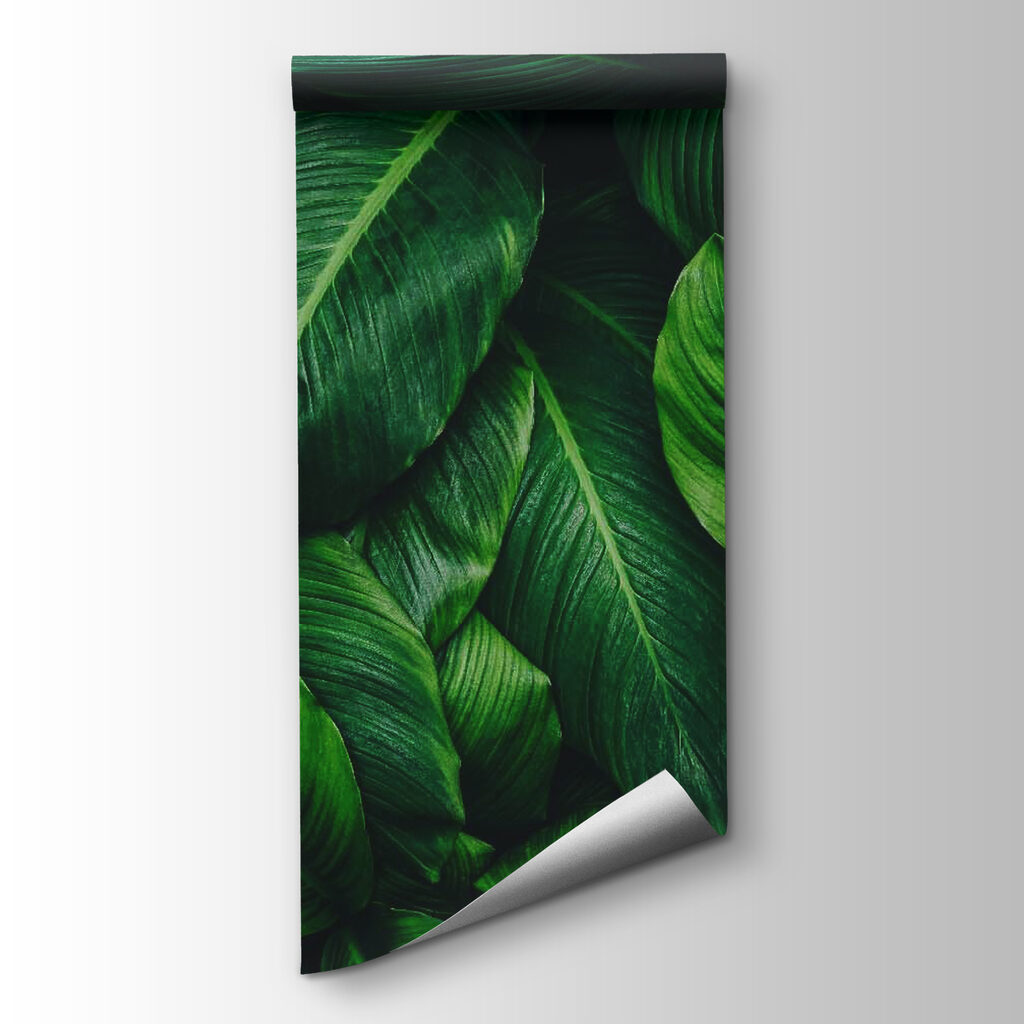 Group of green leaves Group of green leaves