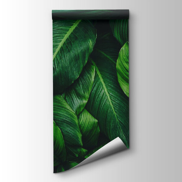 Group of green leaves Group of green leaves