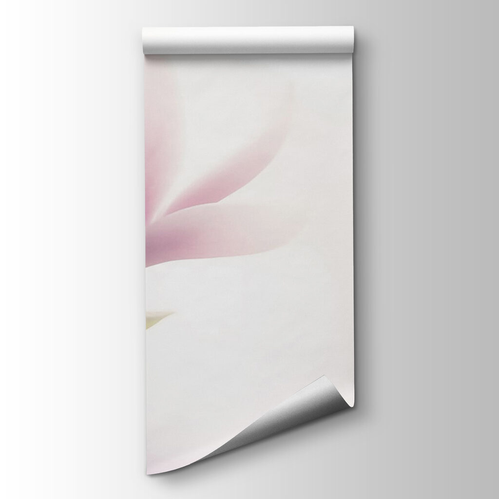 Delicate bloom in soft focus