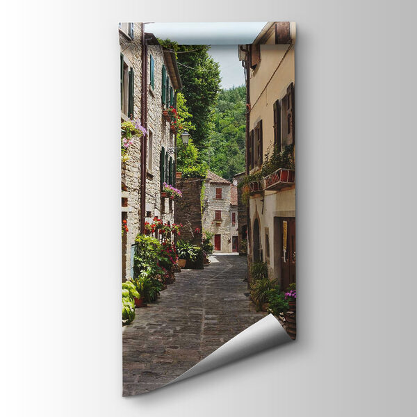 Narrow street with flowers and plants on the side Narrow street with flowers and plants on the side