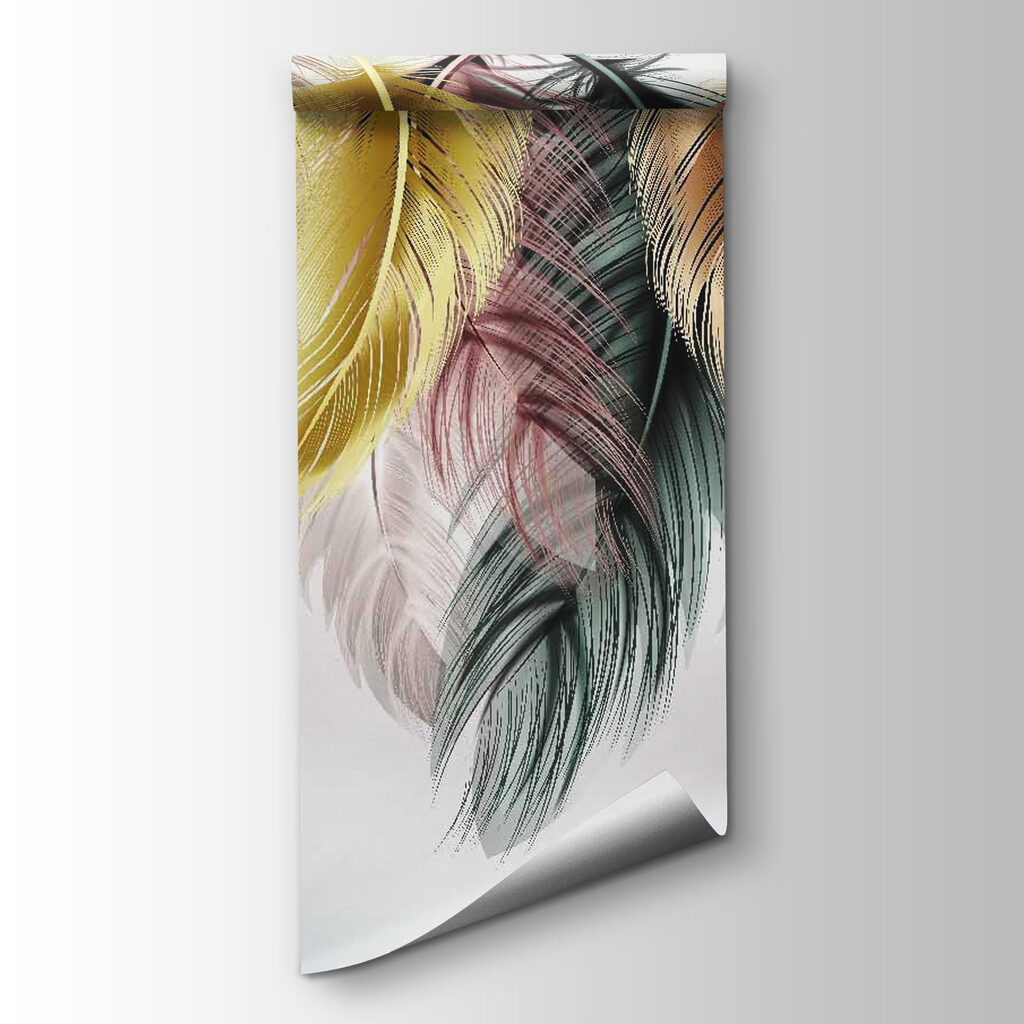 Group of colorful feathers