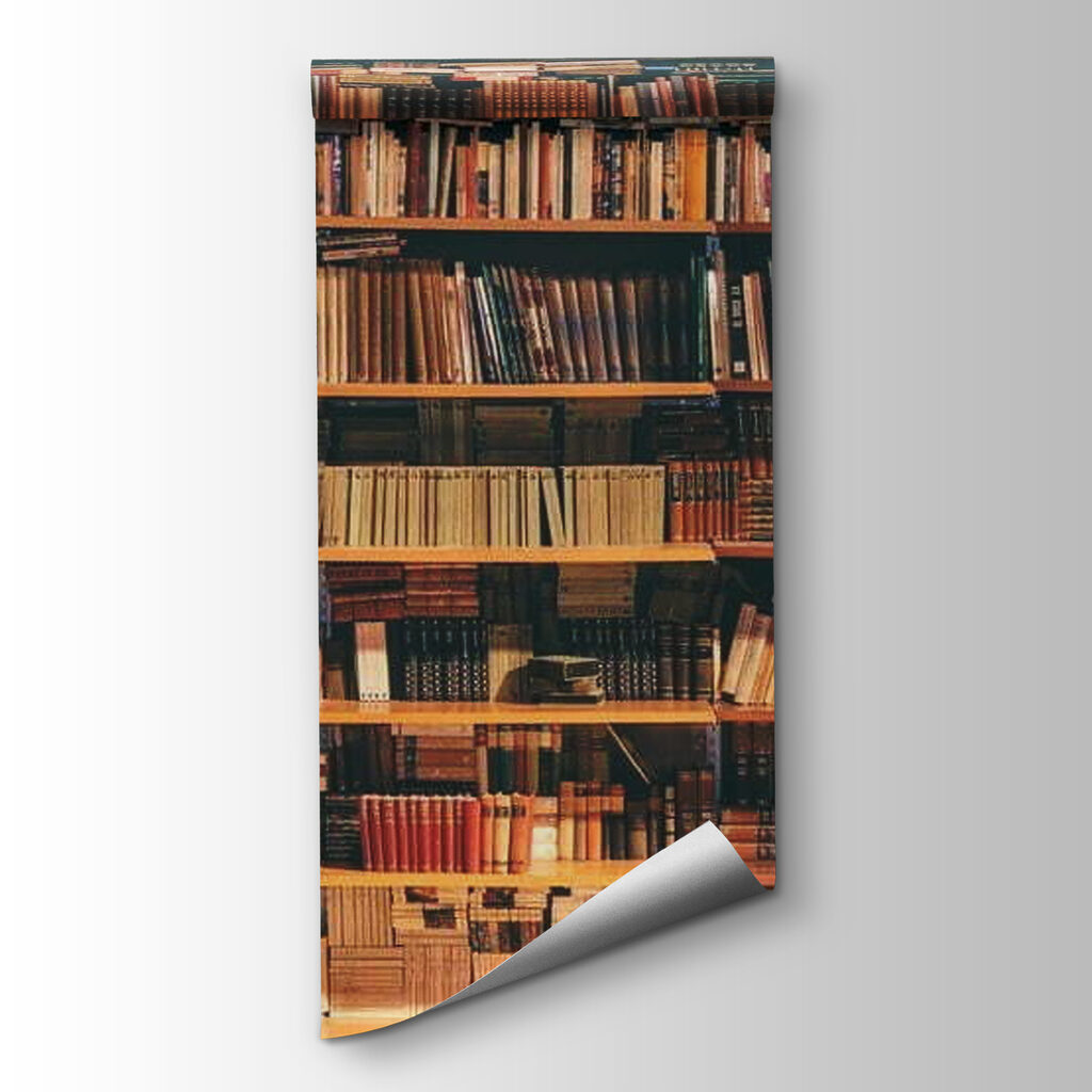 Large bookcase full of books