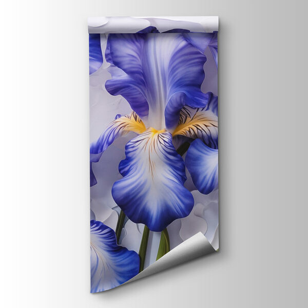 Group of purple and white flowers Group of purple and white flowers