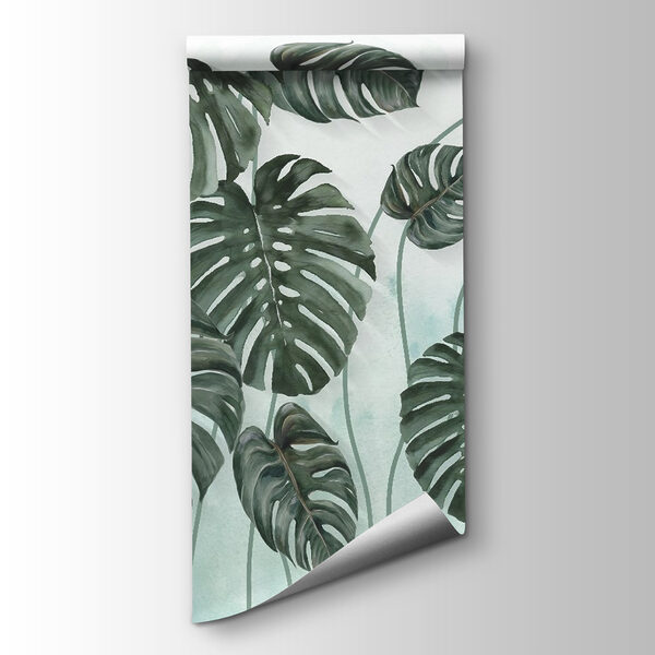 Group of leaves on a white background