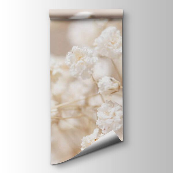 Delicate blooms in soft focus Delicate blooms in soft focus