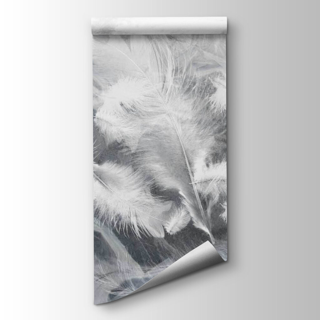 White feathers on a window White feathers on a window