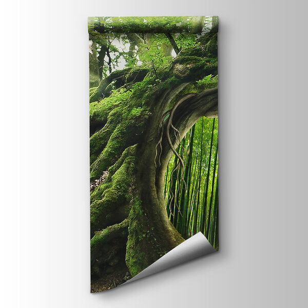 Tree with a hole in the middle of it