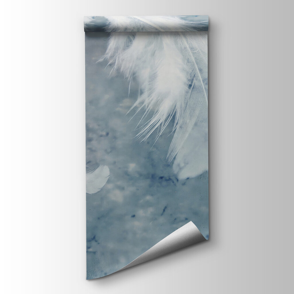 White feathers on a blue surface White feathers on a blue surface