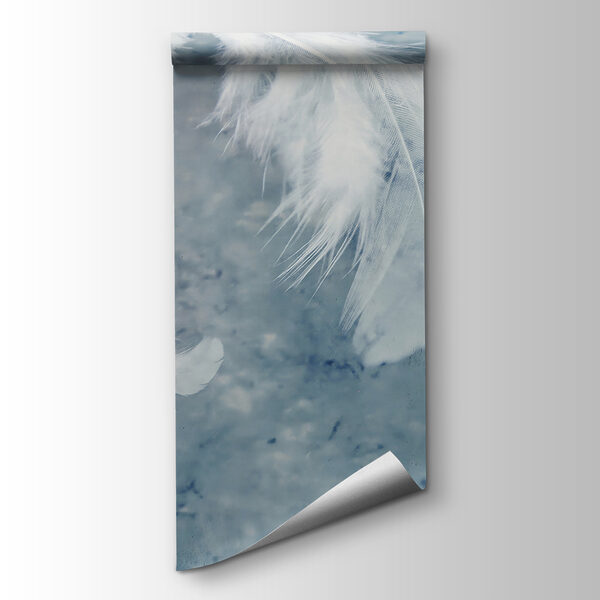 White feathers on a blue surface White feathers on a blue surface