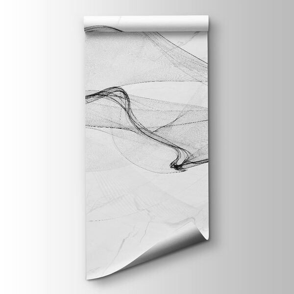 Black and white image of a white background Black and white image of a white background