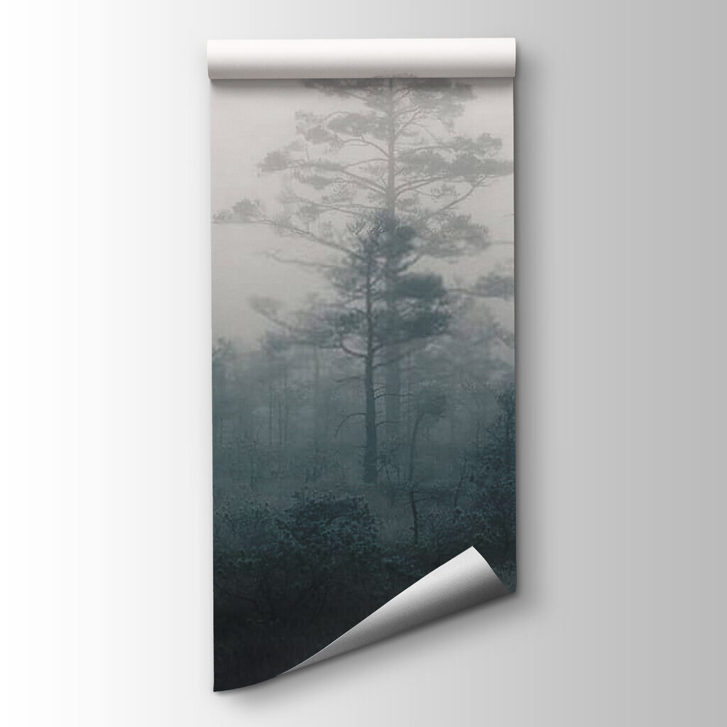 Foggy forest with trees