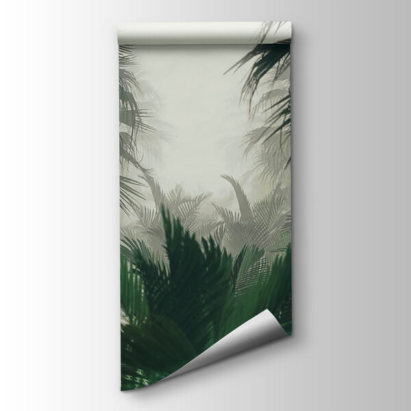 Group of palm trees in a foggy forest Group of palm trees in a foggy forest