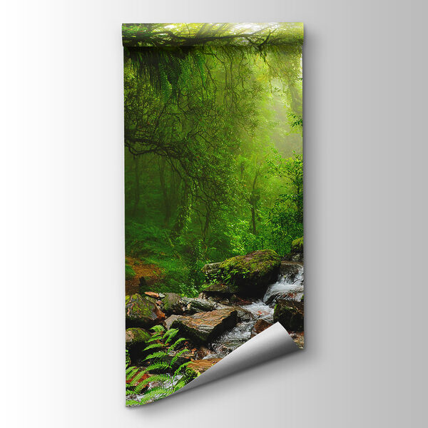 Stream running through a forest Stream running through a forest