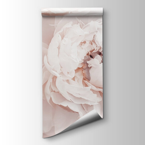 Delicate blooms in soft hues Delicate blooms in soft hues