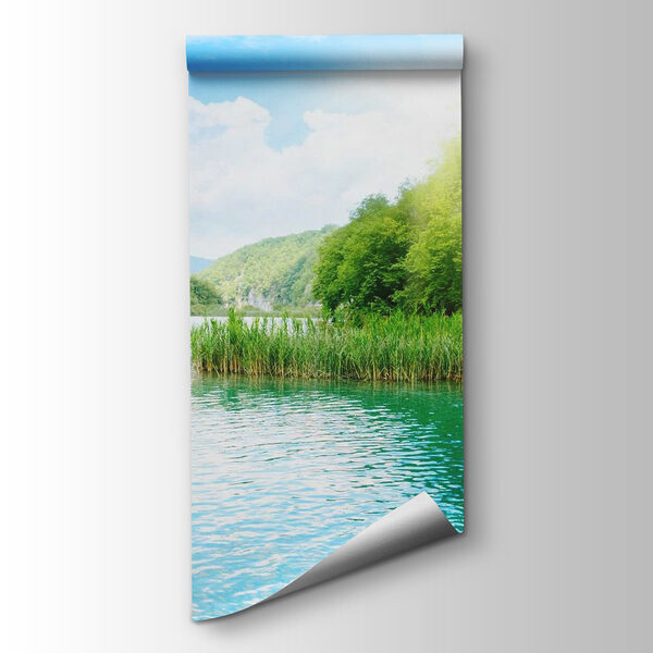 Body of water with grass and trees around it Body of water with grass and trees around it