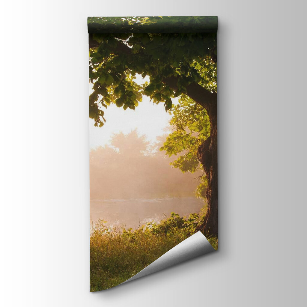 Tree with a foggy river