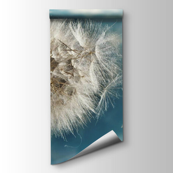 Fluffy seeds drifting in the breeze