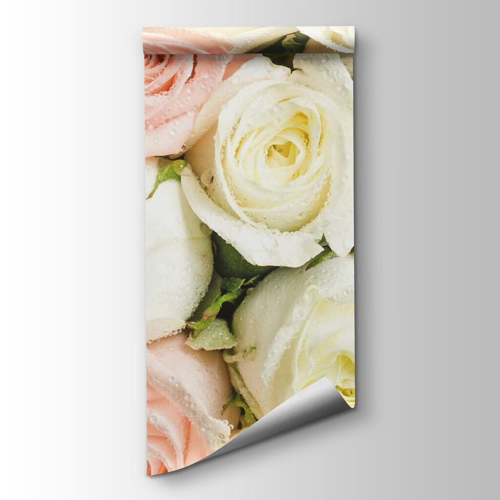 Group of pink and white roses Group of pink and white roses