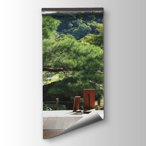 View of a forest from a room