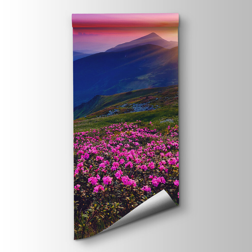 Field of flowers with the sun setting behind it