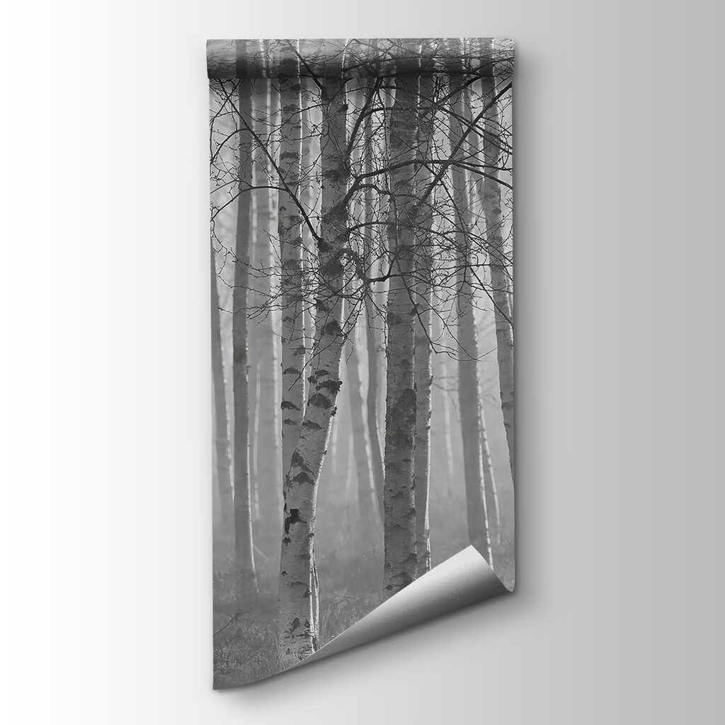 Group of trees in a forest