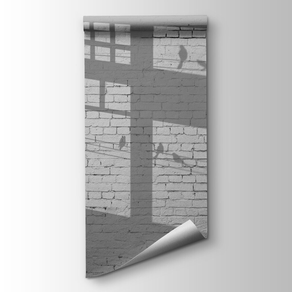 Wall with windows and birds shadow Wall with windows and birds shadow