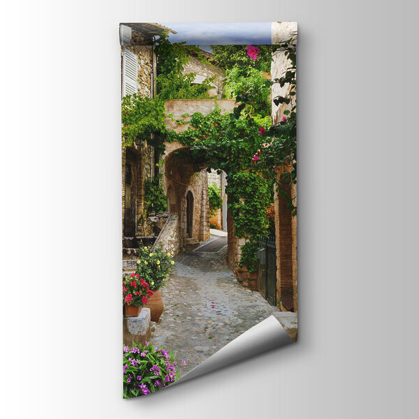 Stone alley with flowers and plants