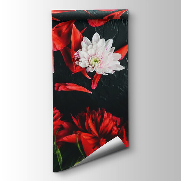 Group of red flowers with petals on a black surface
