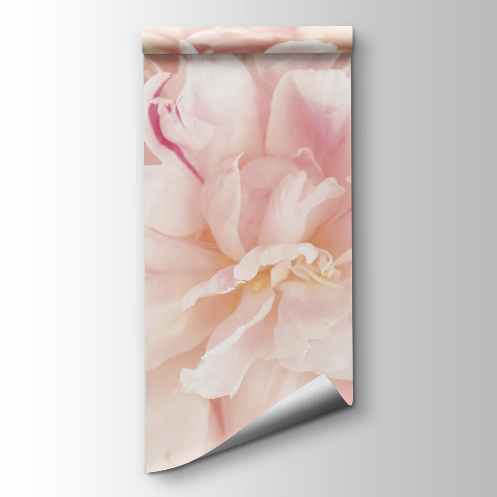 Soft petals in gentle hues Soft petals in gentle hues