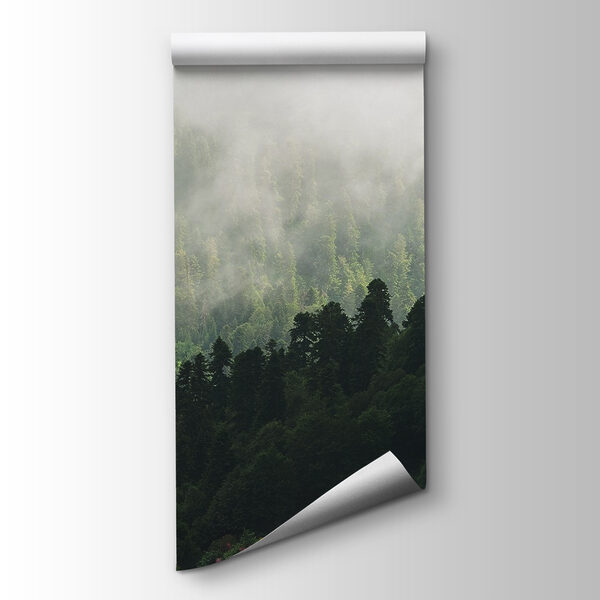 Foggy forest with trees