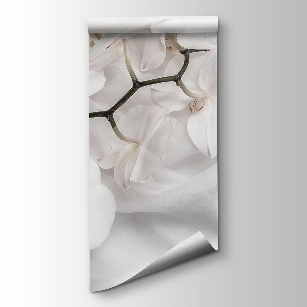 White orchids on a white fabric White orchids on a white fabric