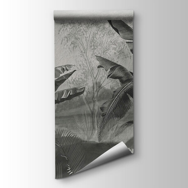 Black and white image of a tropical forest