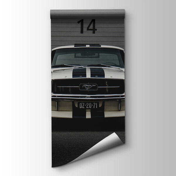 Car parked in front of a garage door