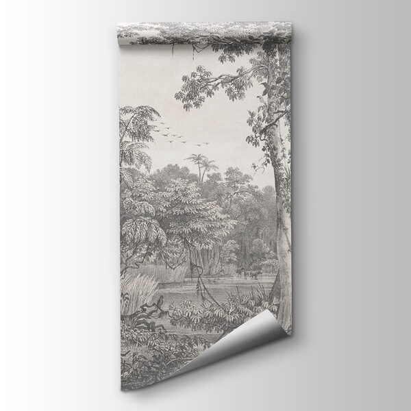 Drawing of trees and plants