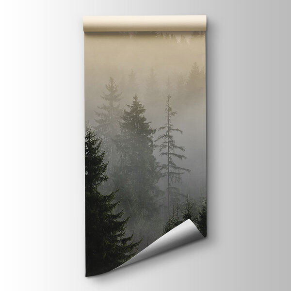 Foggy forest with trees