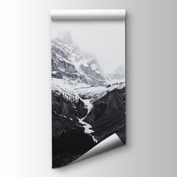 A snowy mountain with trees