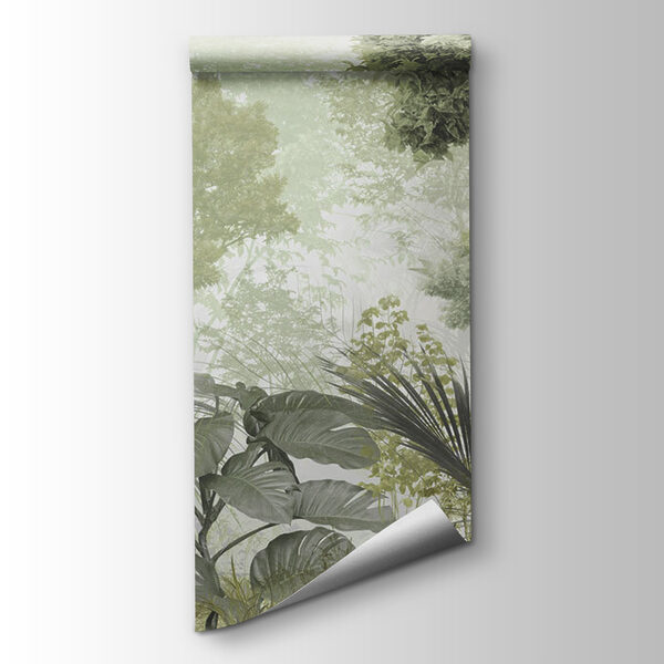 A group of trees and plants in a foggy forest A group of trees and plants in a foggy forest