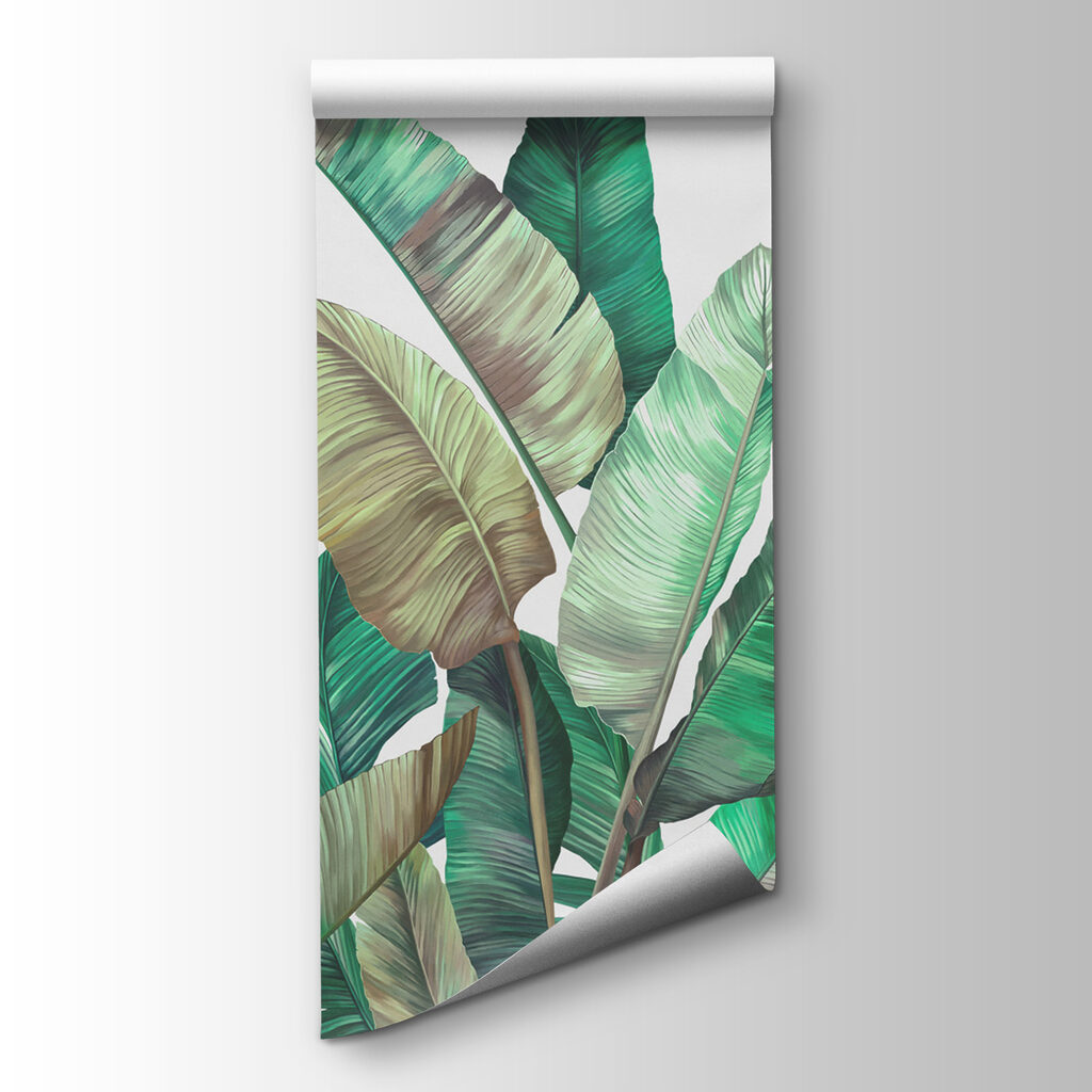 A group of tropical plants