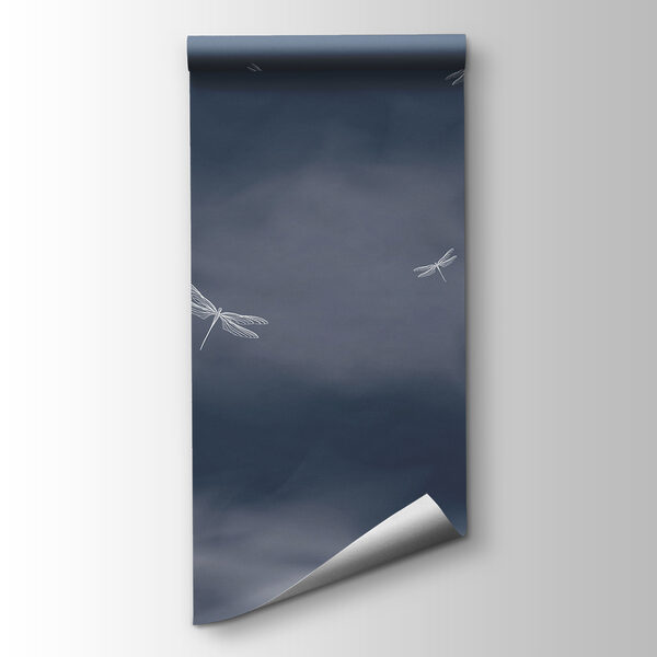 Dragonflies flying in the sky Dragonflies flying in the sky