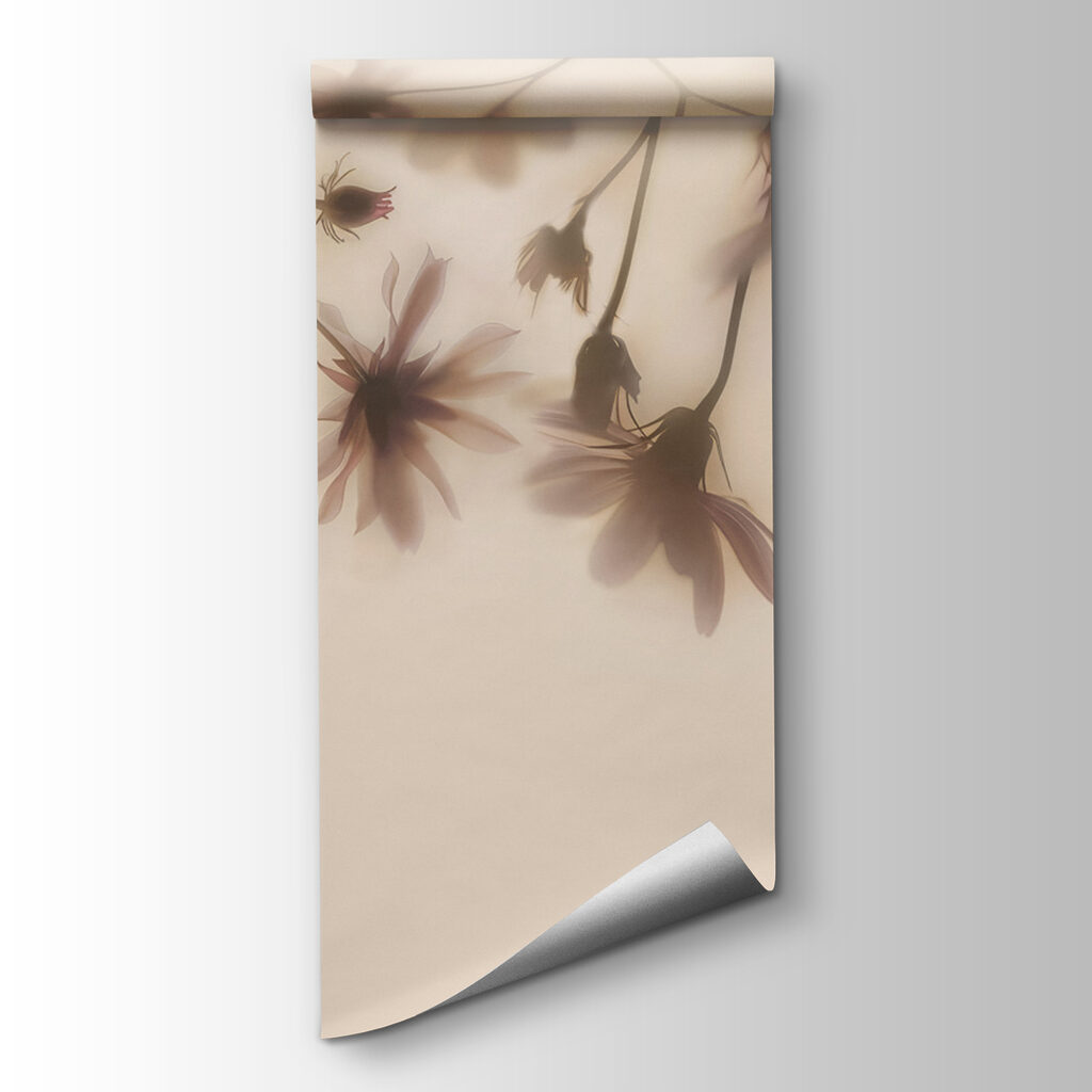 Group of flowers on a white background