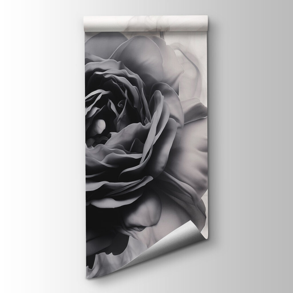 Black and white image of a rose Black and white image of a rose