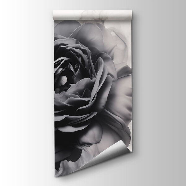 Black and white image of a rose Black and white image of a rose