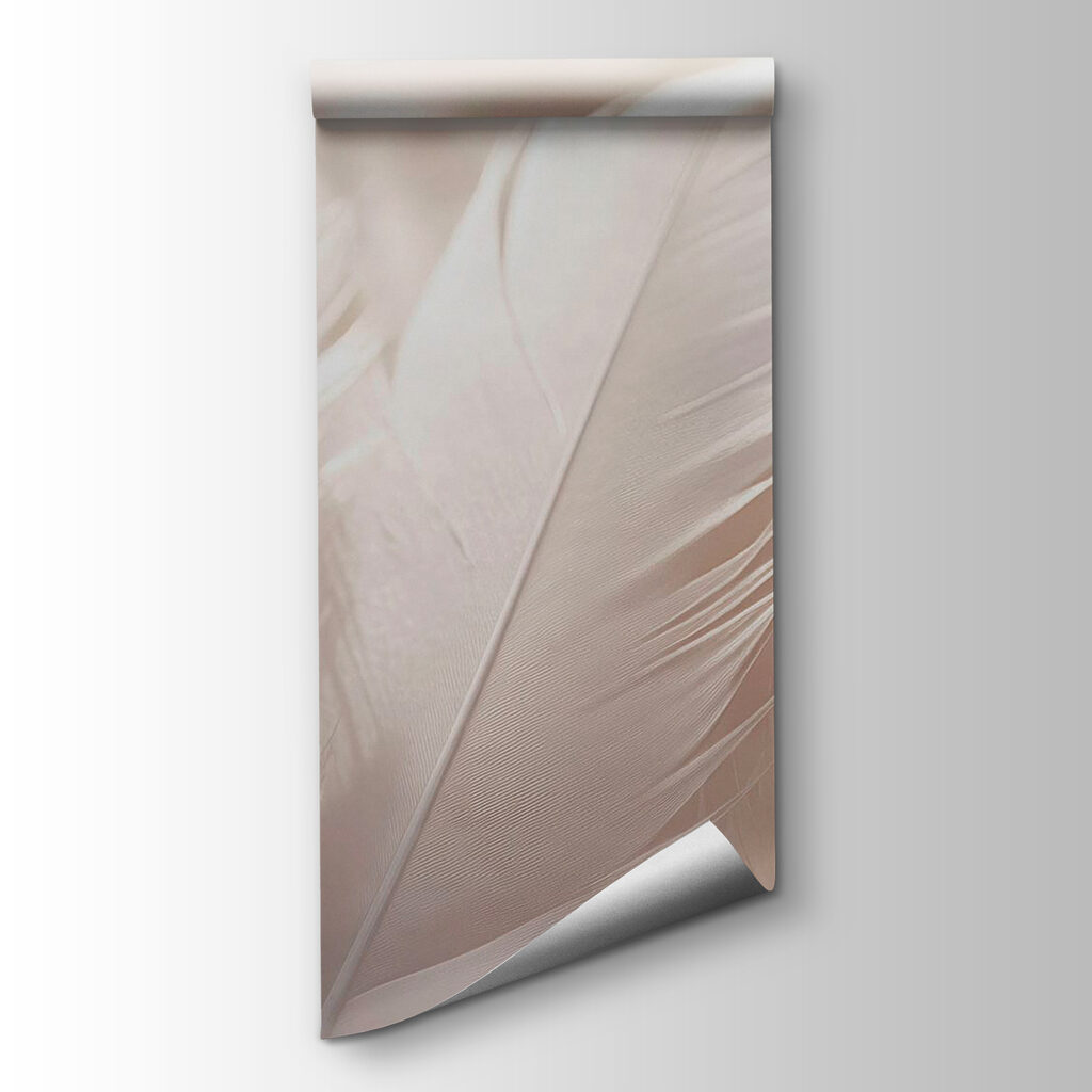 Soft elegance of delicate feathers