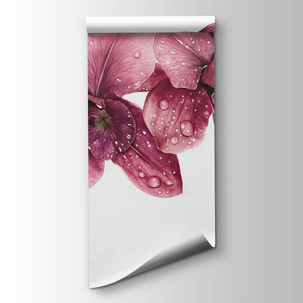 Delicate blooms adorned with droplets