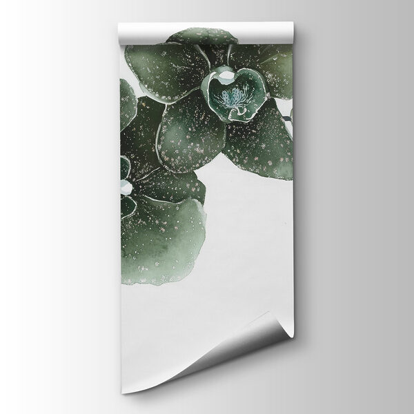 Three elegant orchids in harmony