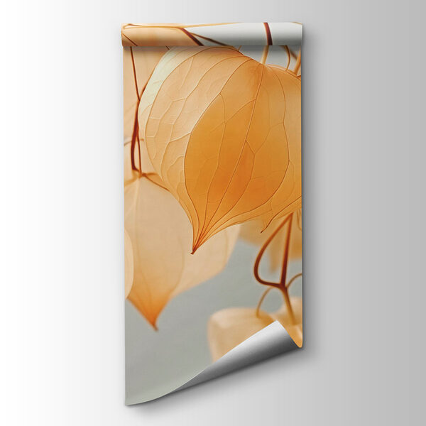 Delicate lanterns in soft hues